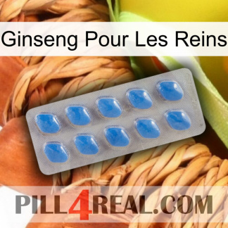 Ginseng For Kidney 22